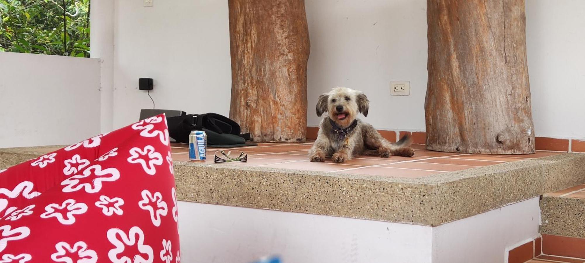 Hotel Campestre Mastranto Βιλιαβισένσιο Εξωτερικό φωτογραφία